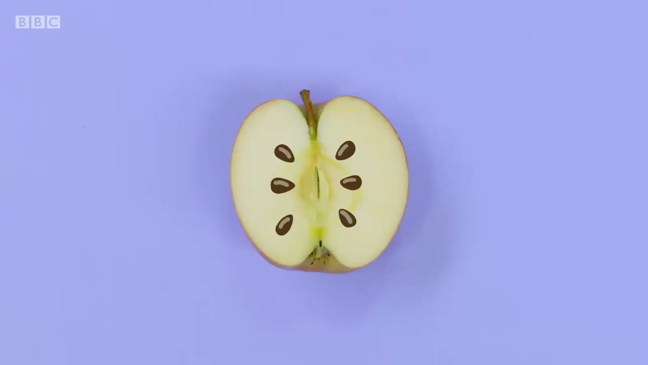 截图：Pippy apple!