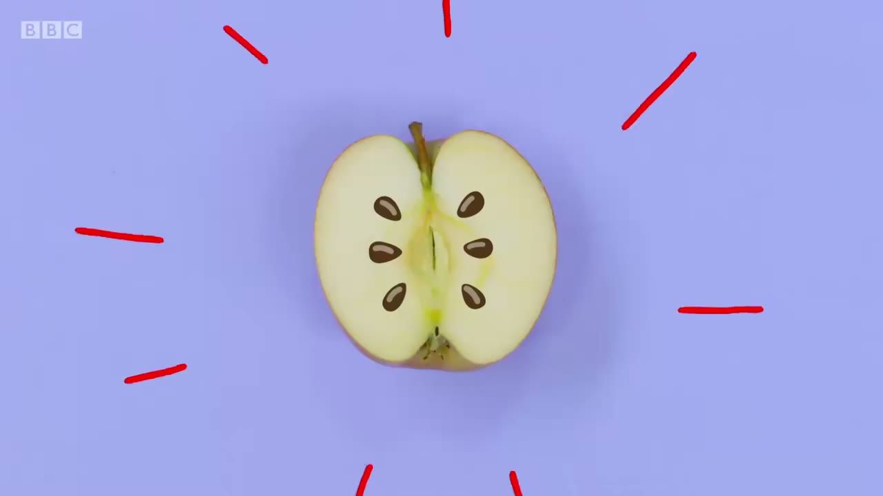 截图：Pippy apple!