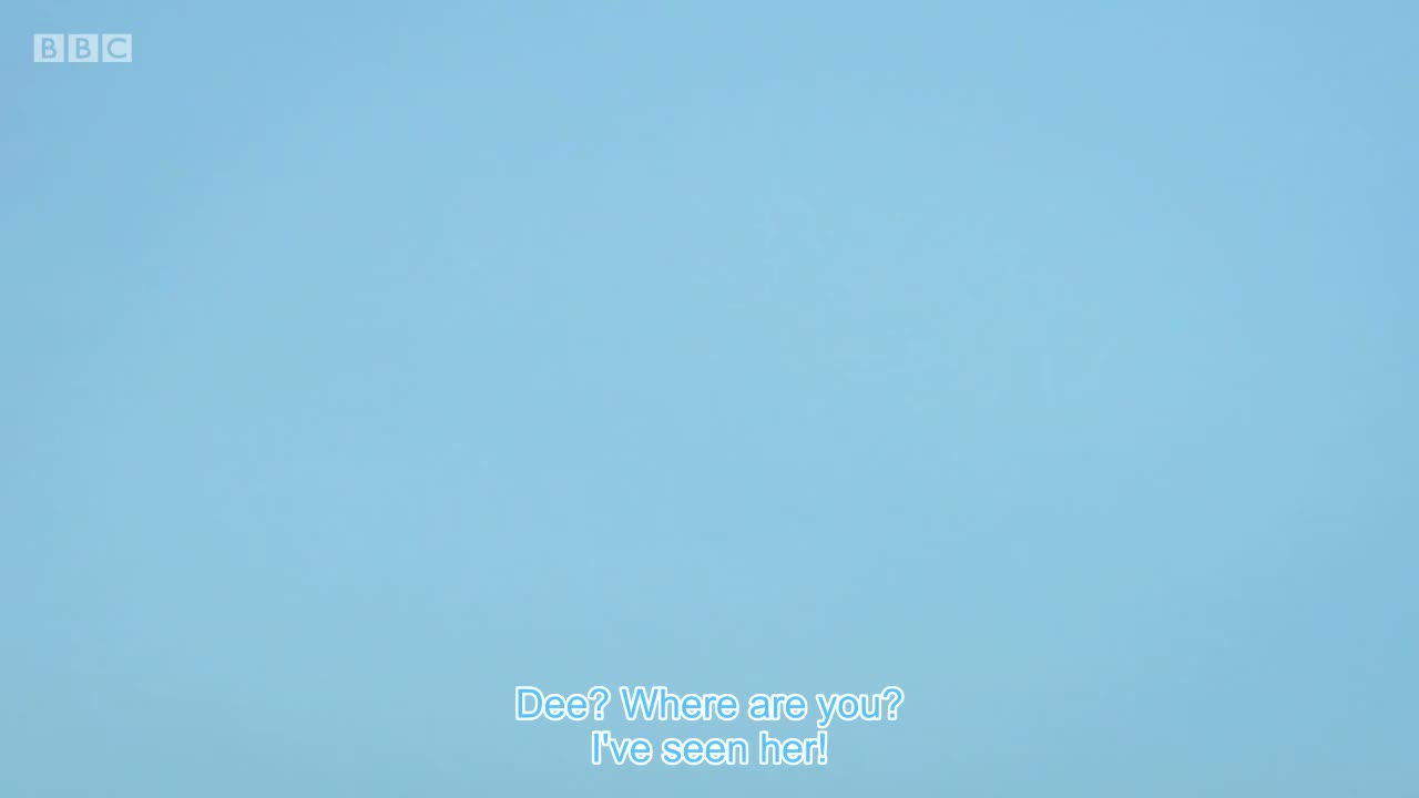Over there!
