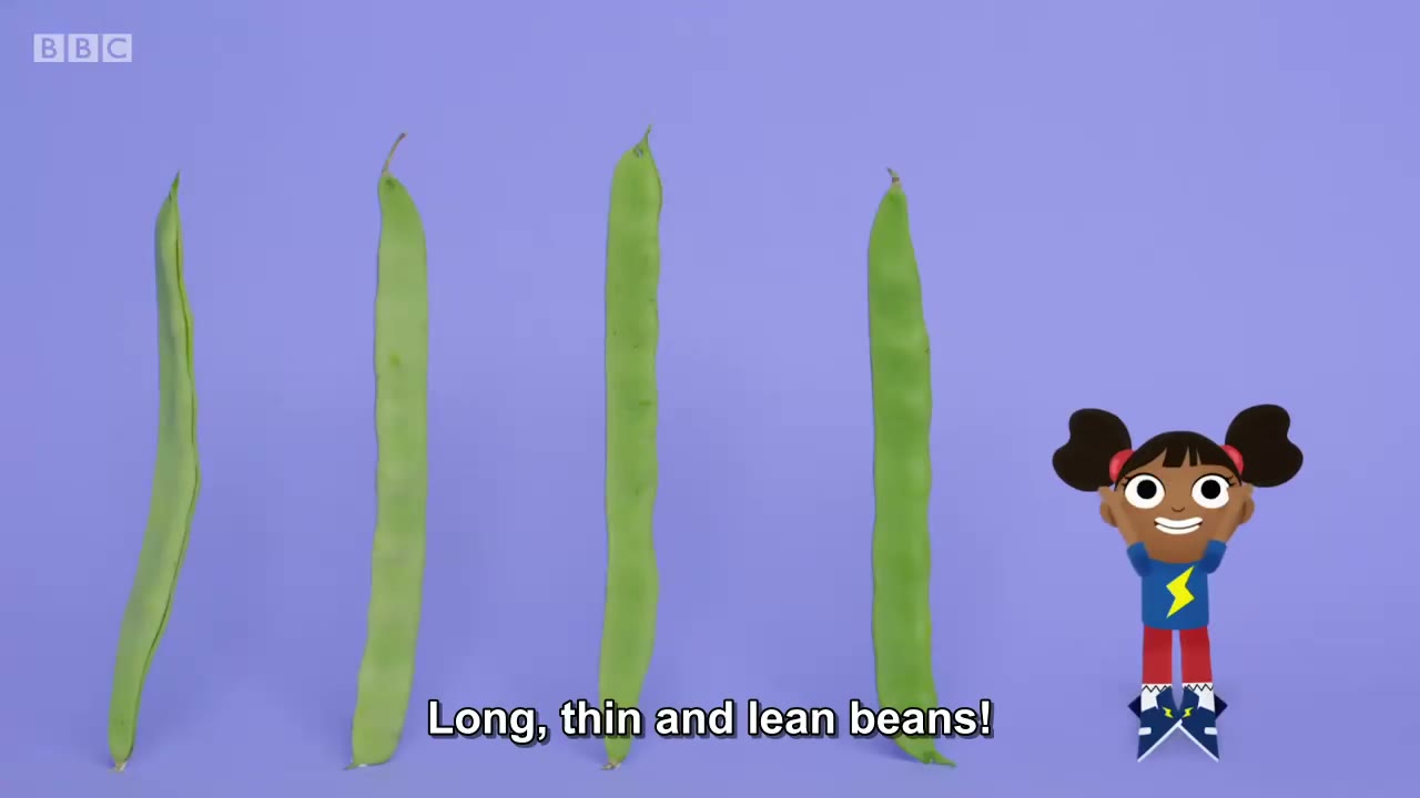 截图：Long, thin and lean beans!