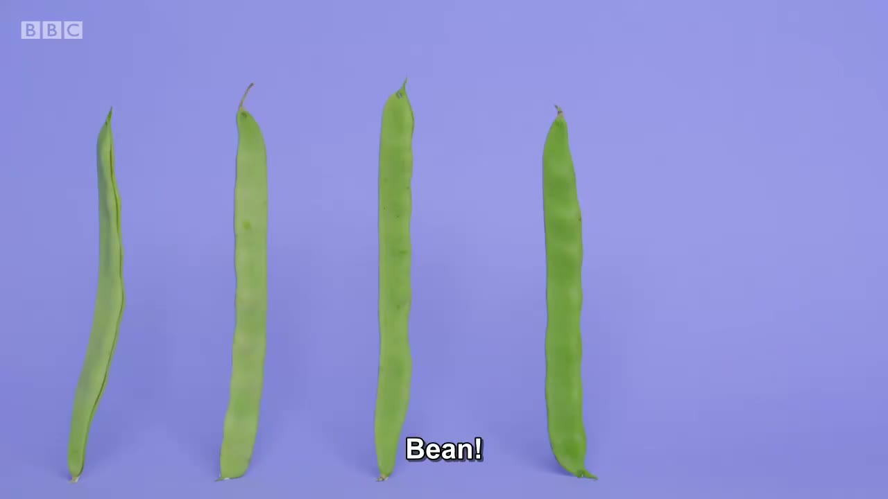 截图：Bean!