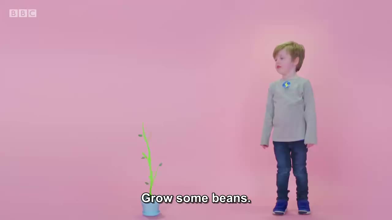 Beans