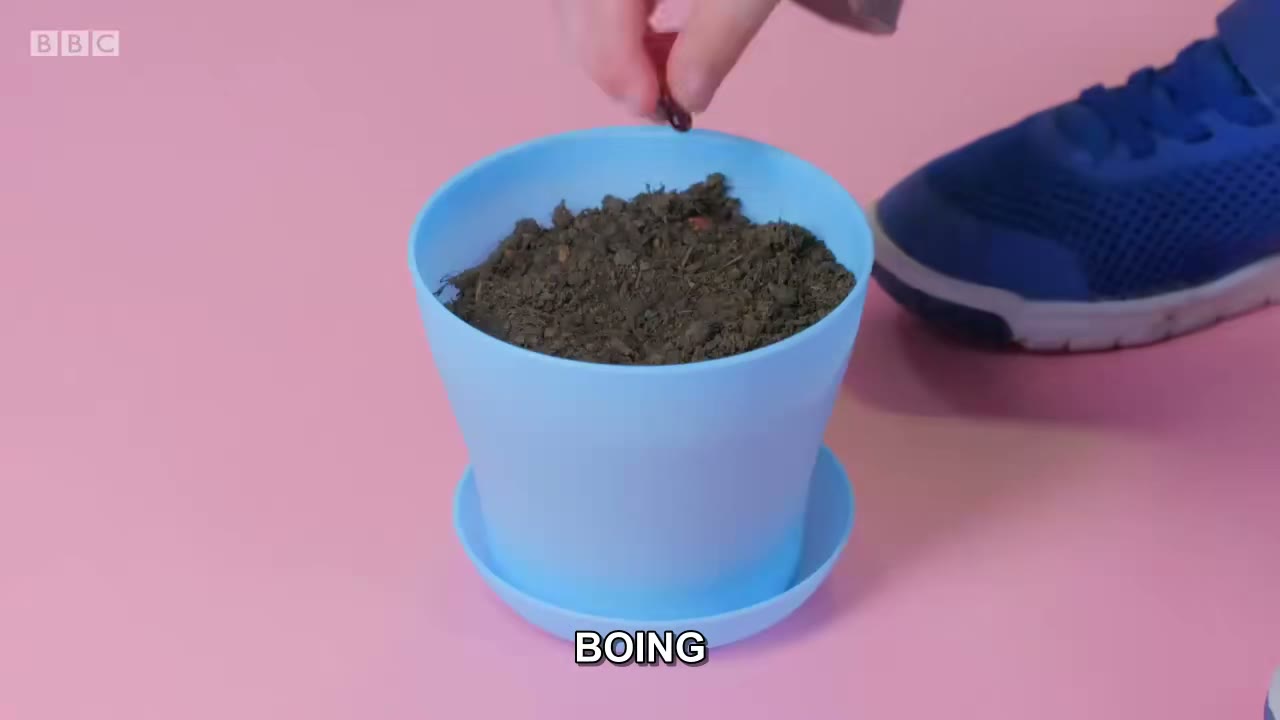 截图：BOING