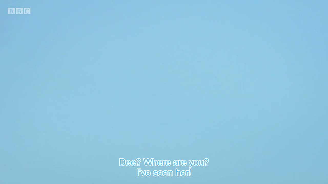 Over there!