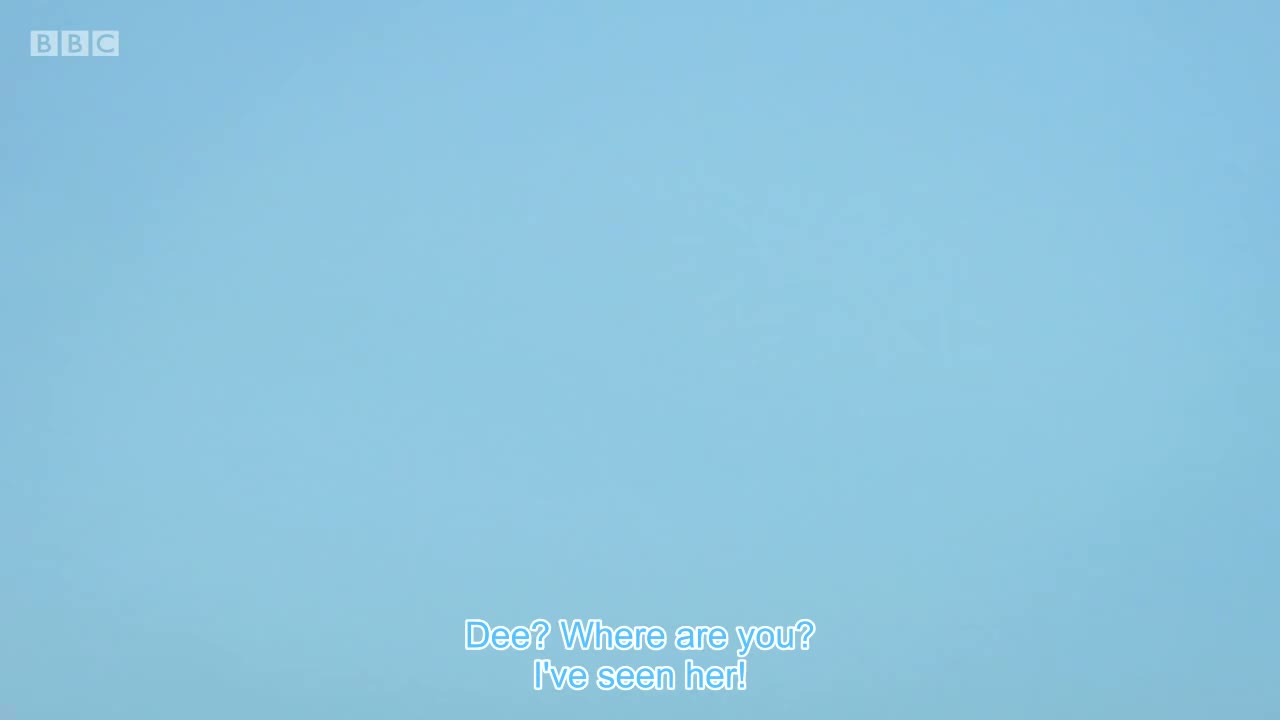 Over there!