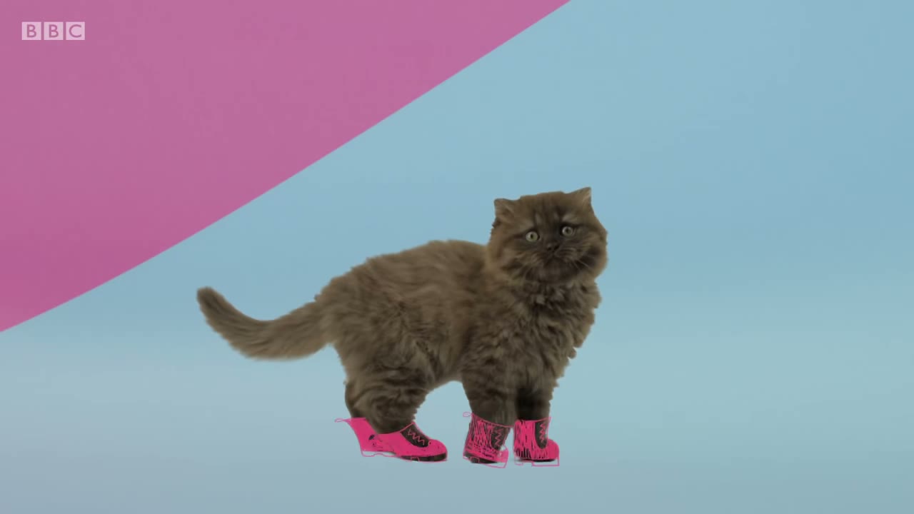 Puss in boots.