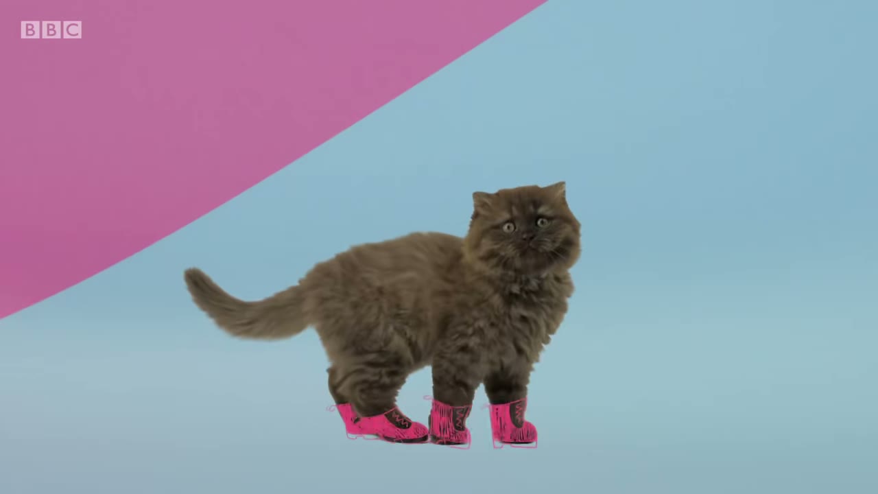 Puss in boots.