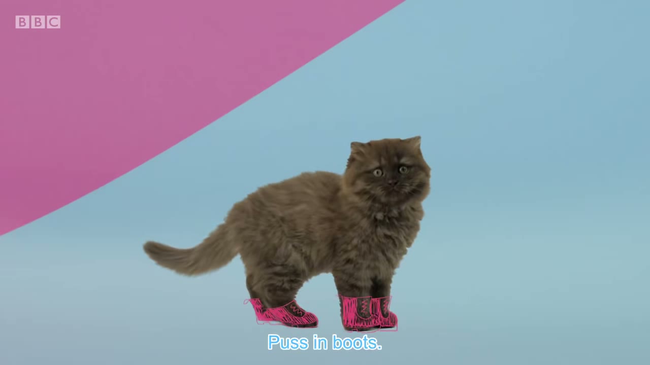 CAT PURRS