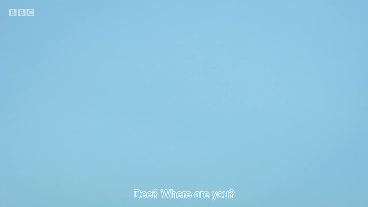 截图：I've seen her. Over there.
