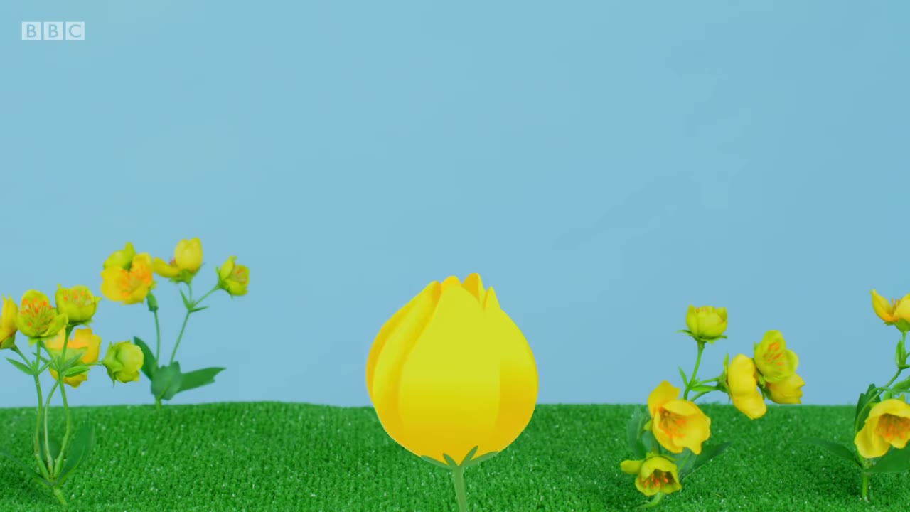 截图：Flower cup.