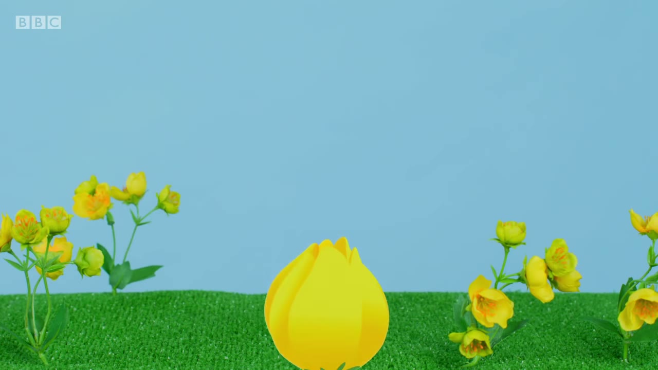截图：Flower cup.