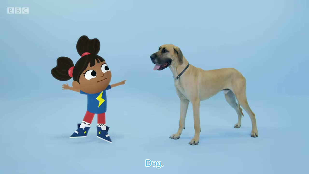 Big dog.