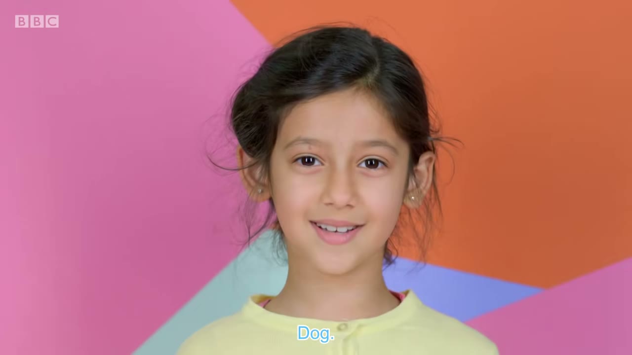 Dog.