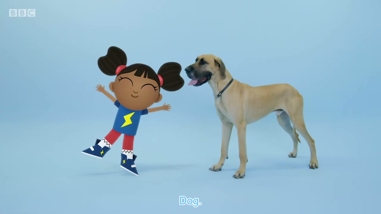 Big dog.