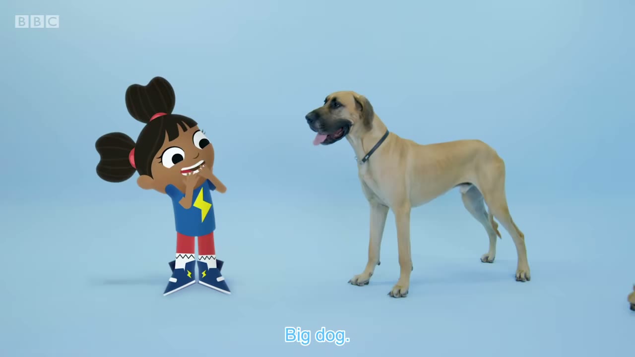 SHE LAUGHS Tiny dog.