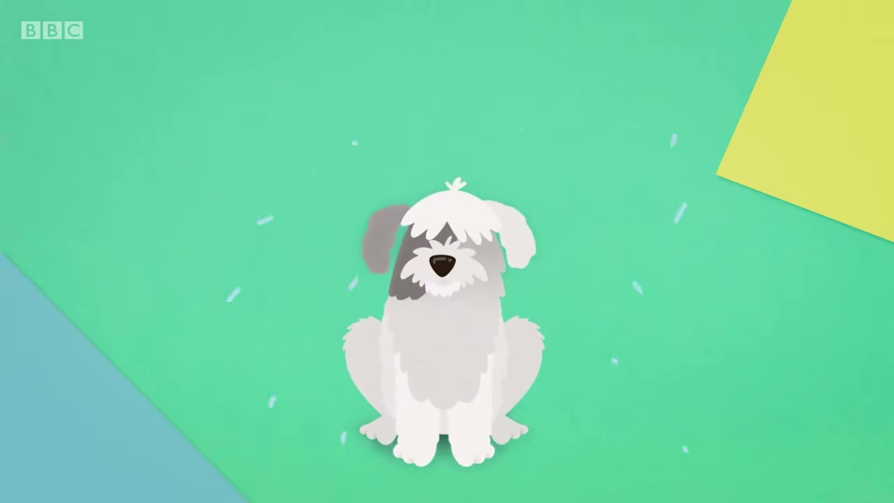 REALLY fluffy dog!