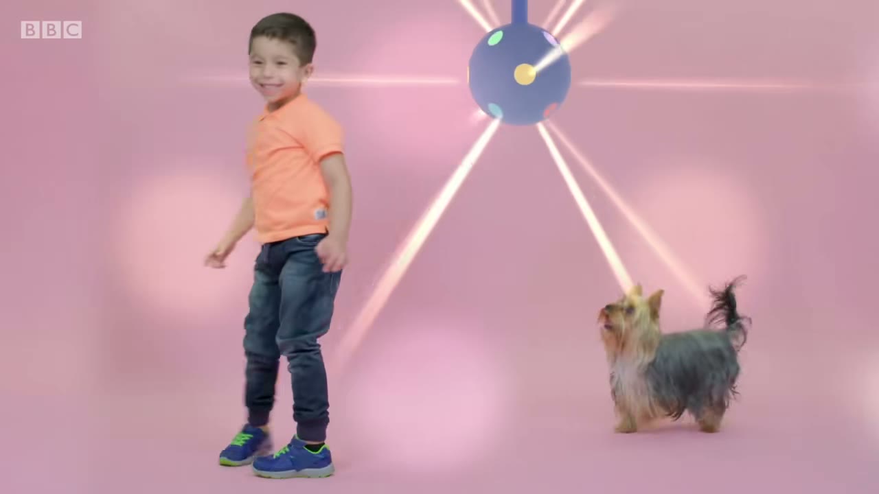 Dancing dog.