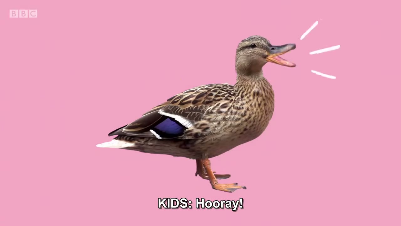 截图：KIDS: Hooray!