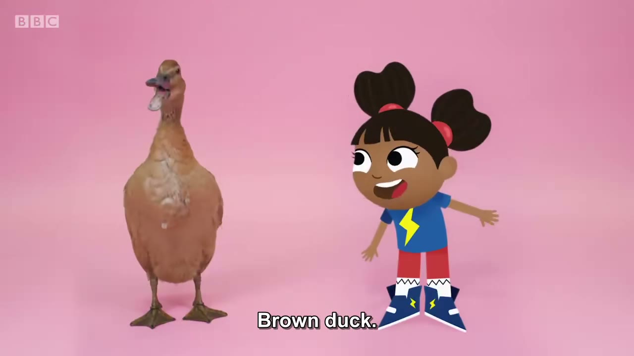 截图：Brown duck.