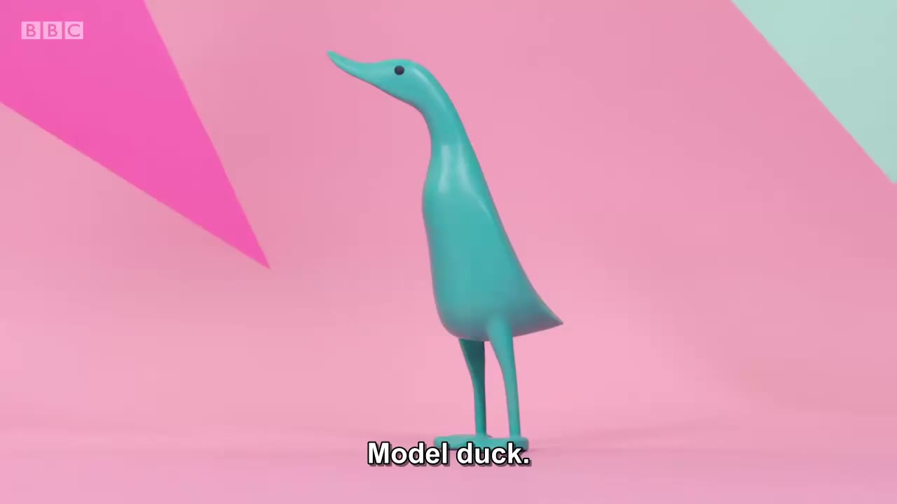 截图：Model duck.