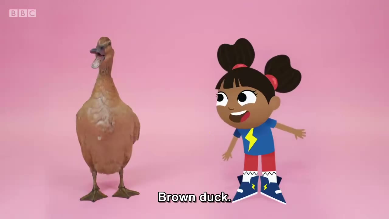 截图：Brown duck.