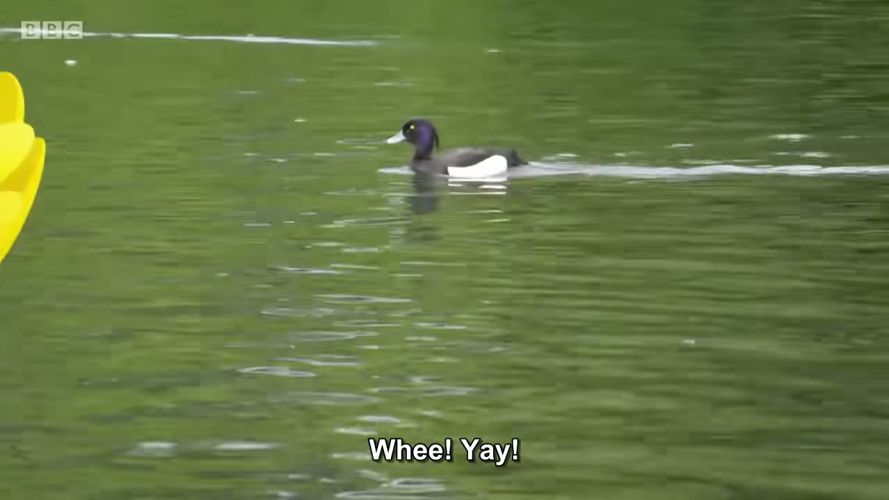 截图：Whee! Yay!