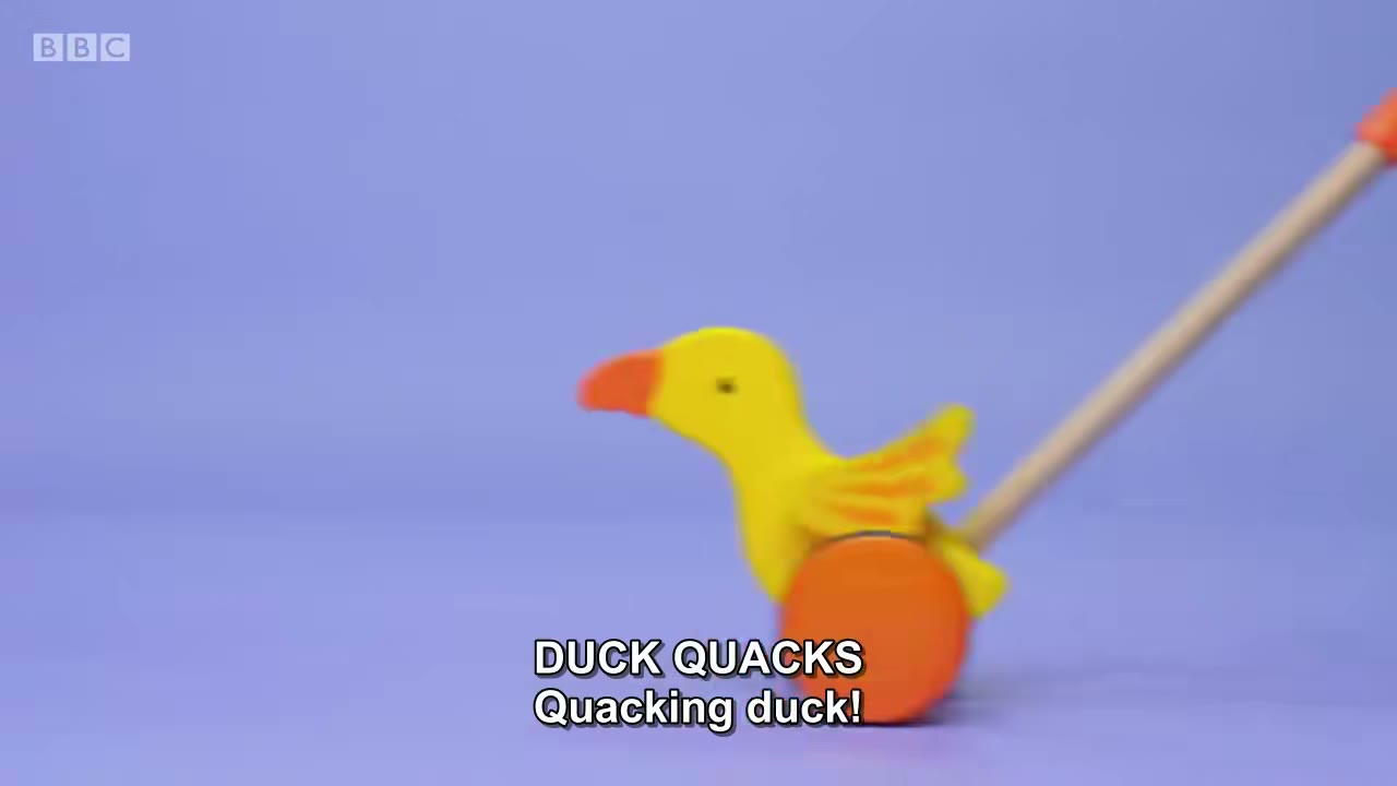 截图：DUCK QUACKS Quacking duck!