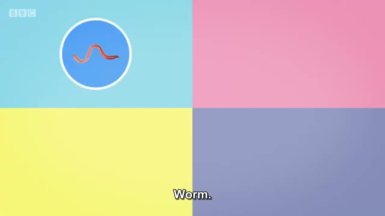 截图：Worm.