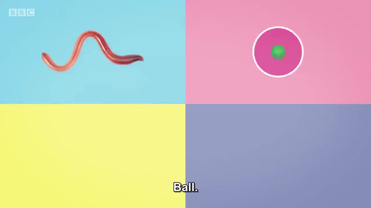 截图：Ball.