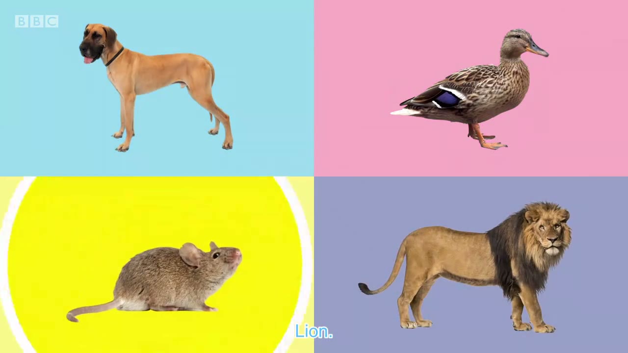 截图：Mouse.