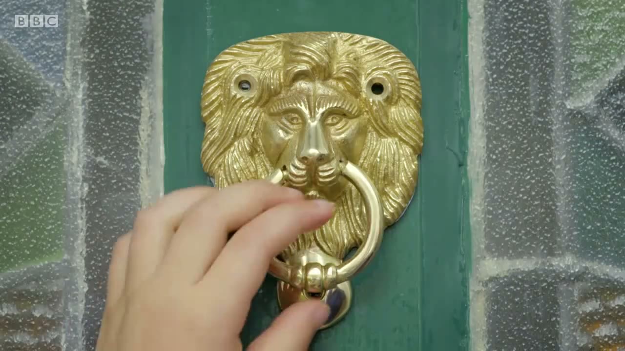 截图：Lion.