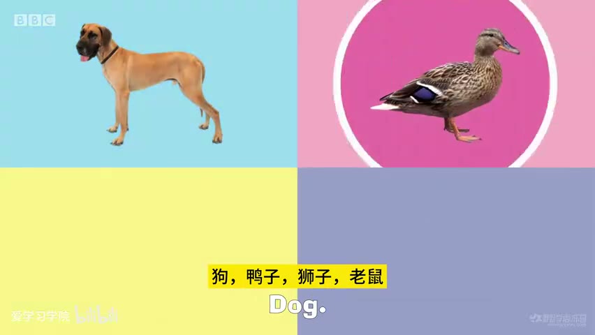 截图：Duck.