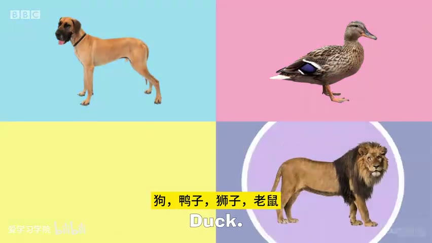 截图：Lion.