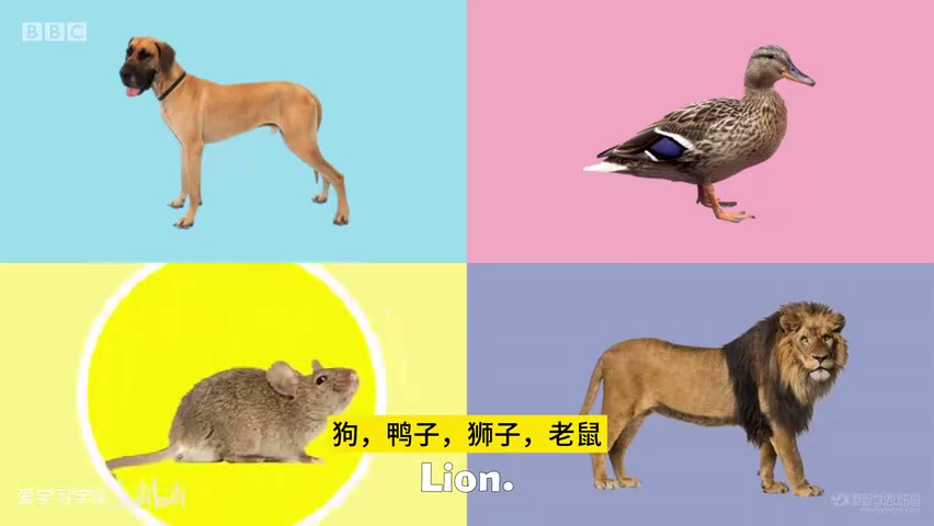 截图：Mouse.