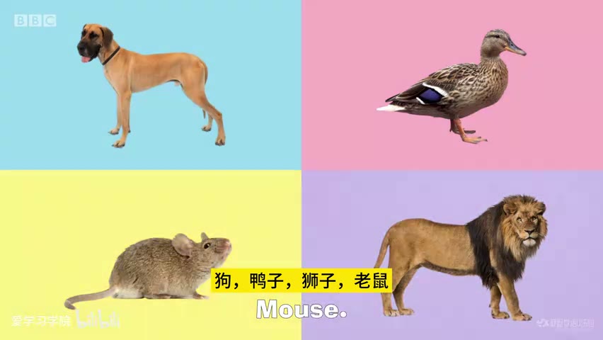 截图：DRUM ROLL