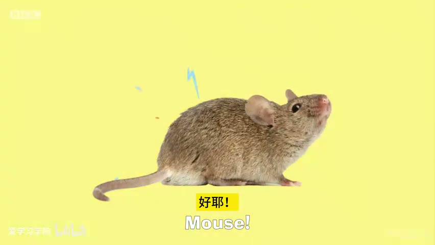 截图：Hooray!
