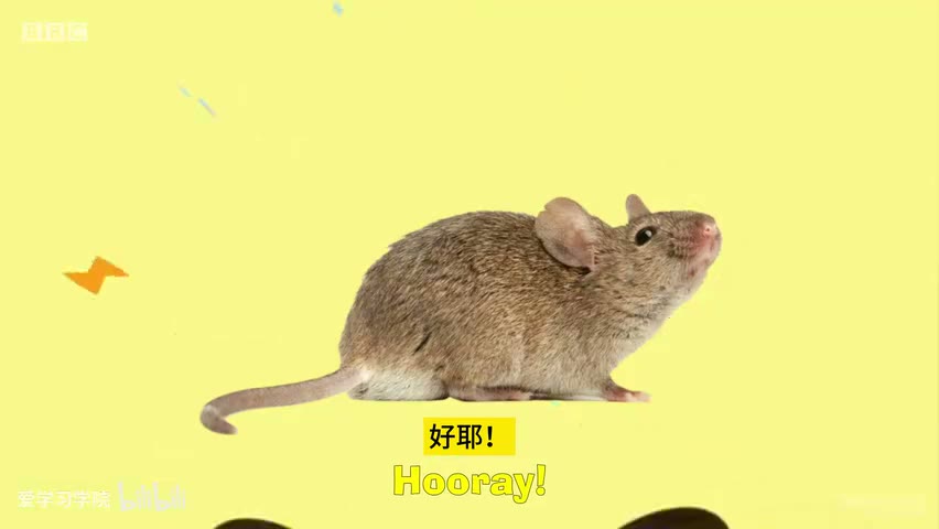 截图：Mouse.