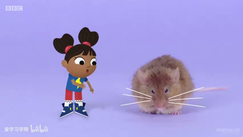 截图：Whiskery mouse.