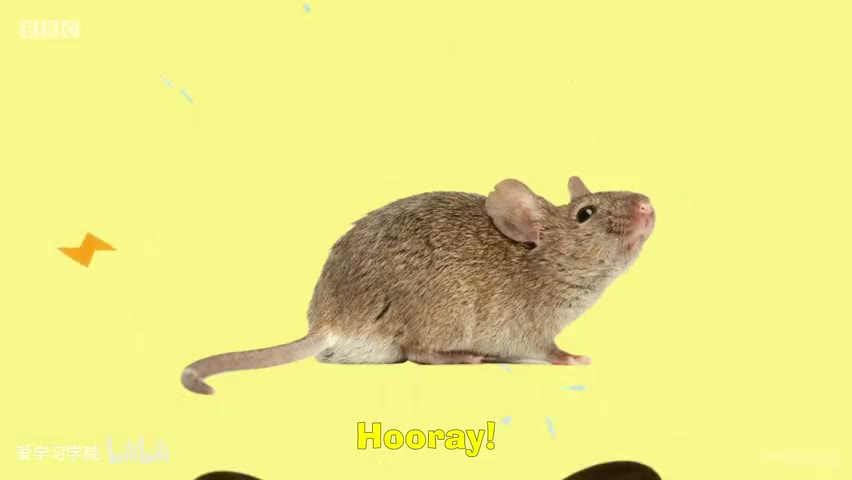 截图：Mouse.