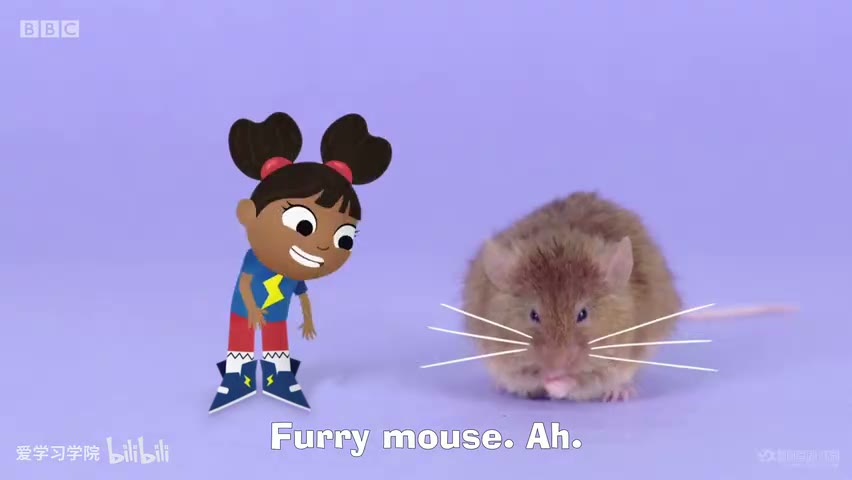 截图：Whiskery mouse.