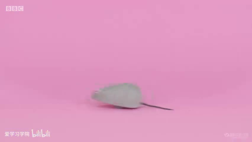 截图：Mouse.