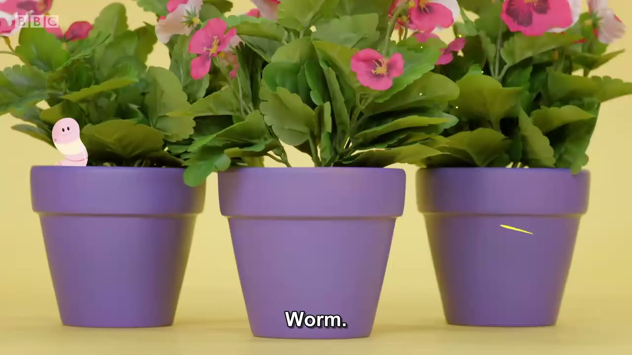 截图：Worm.