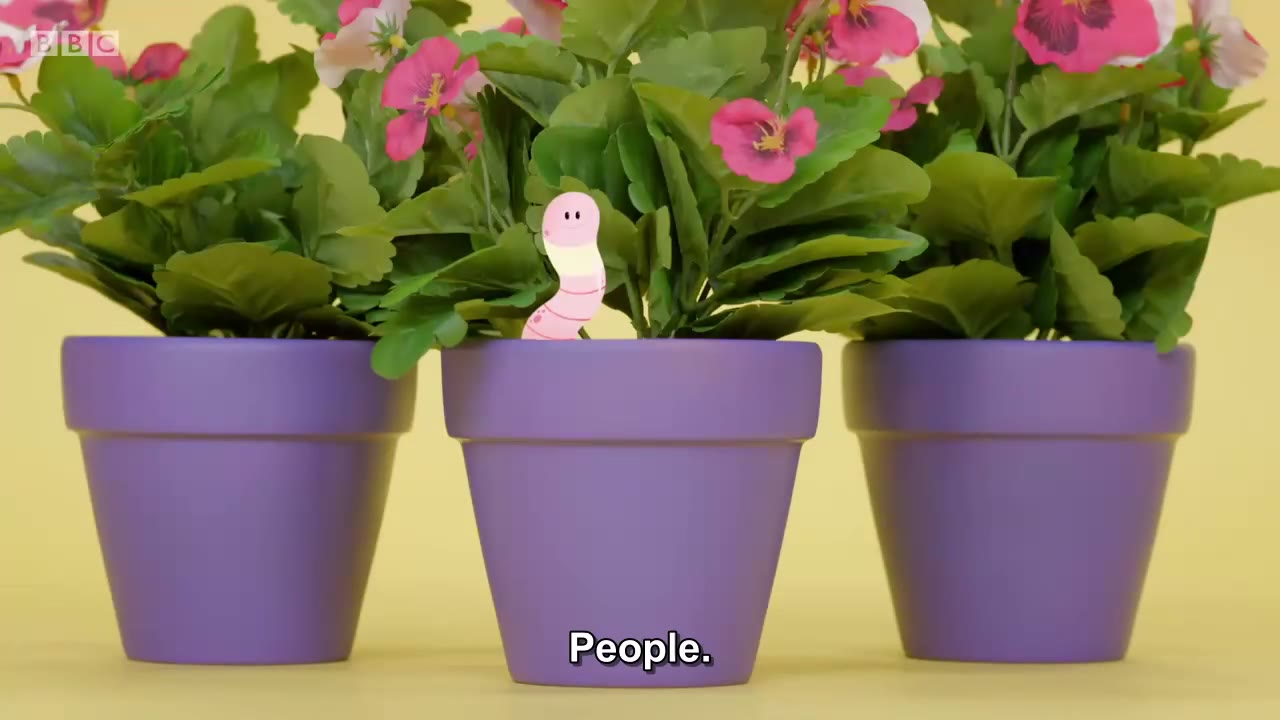 截图：People.
