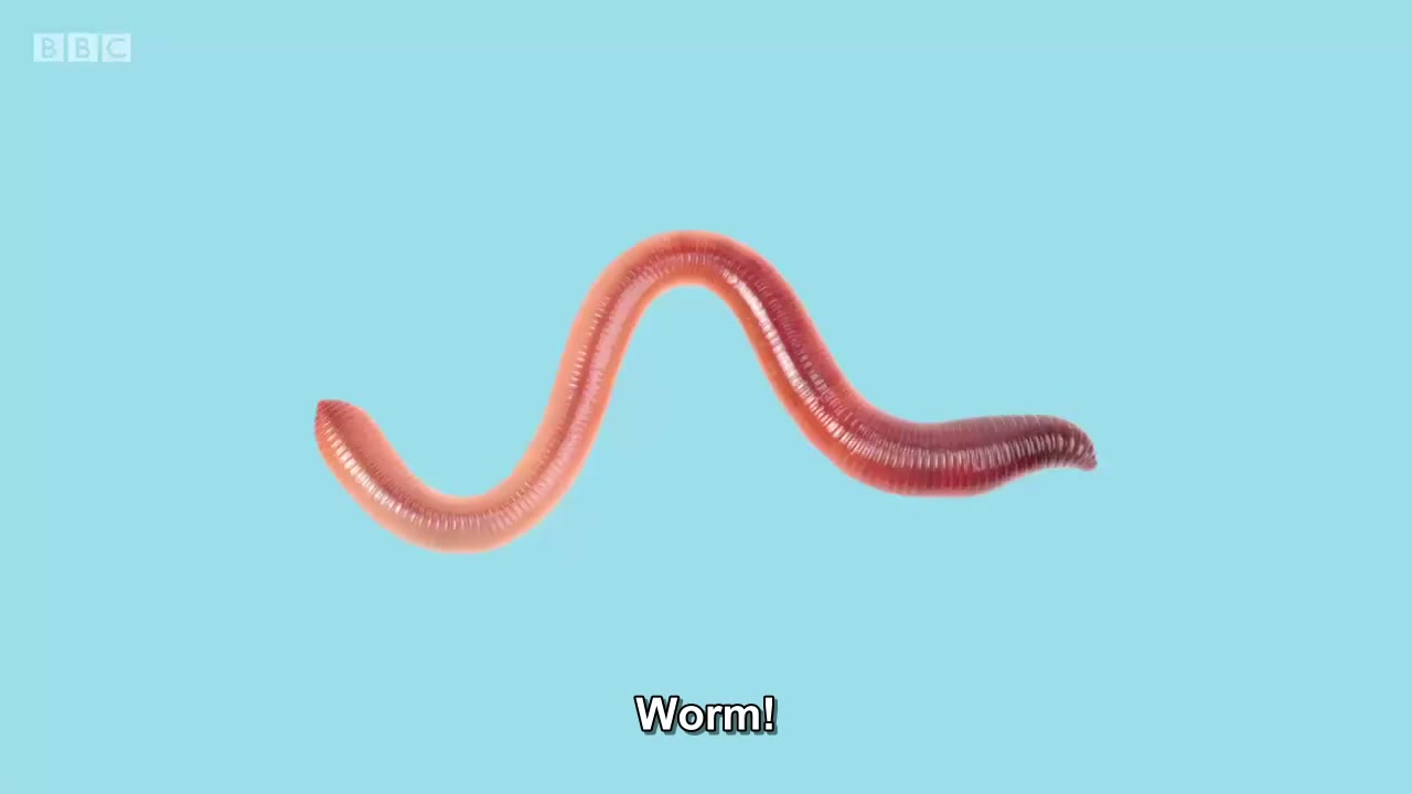 截图：Worm!
