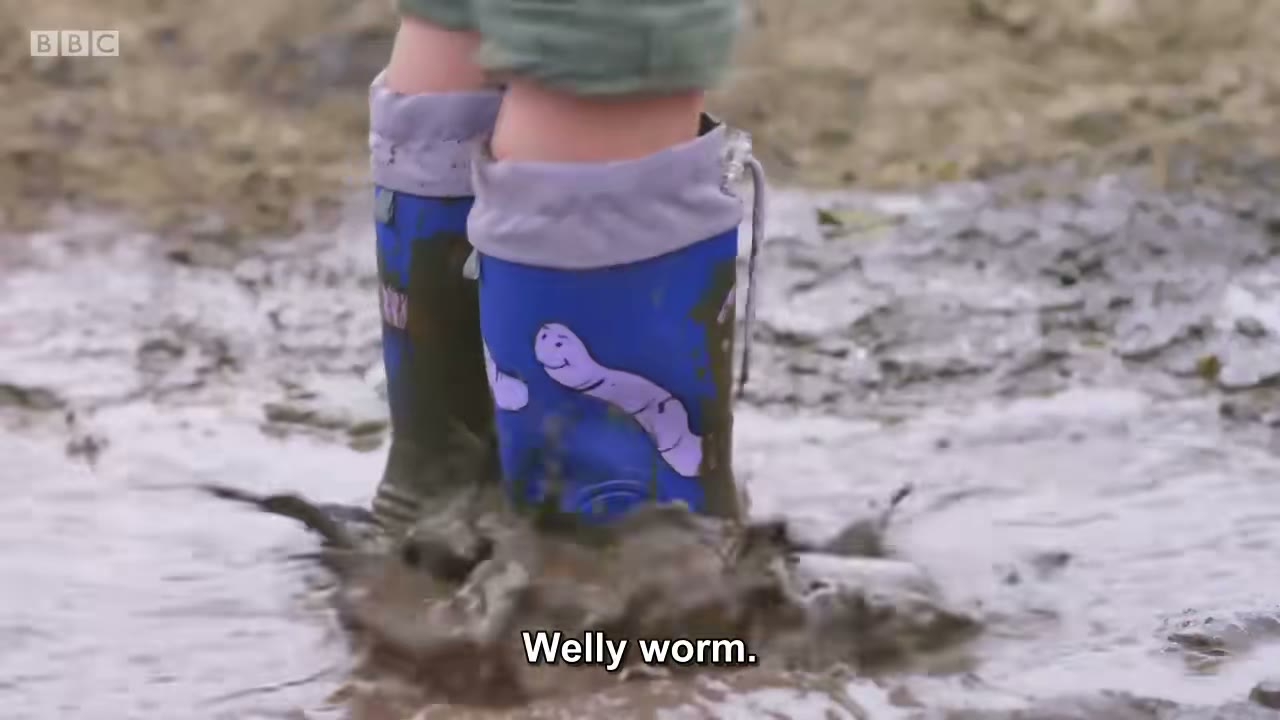 截图：Welly worm.